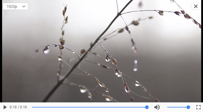 Video mp4